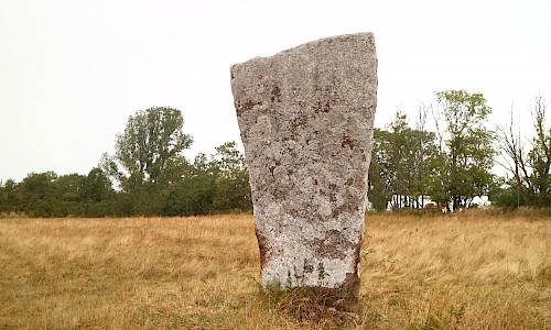 Foto: Stefan Svenaeus 2021