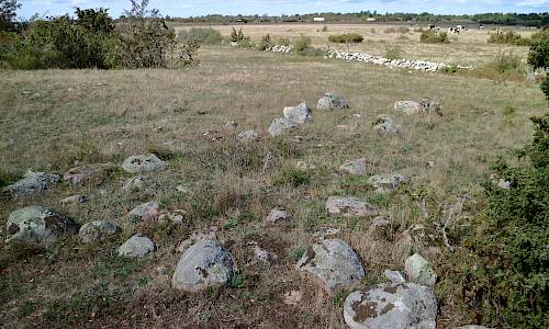 Foto: Stefan Svenaeus 2021