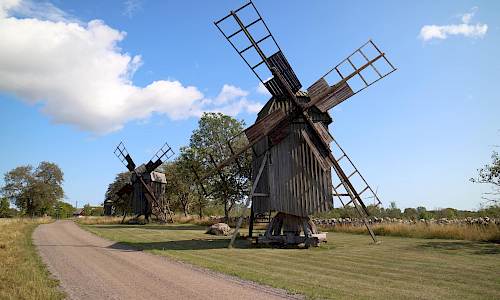 Foto: Stefan Svenaeus 2021