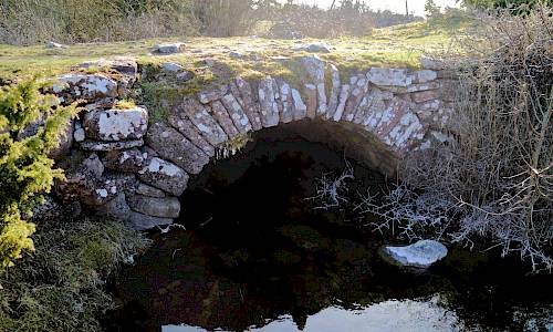 Foto: Stefan Svenaeus 2021