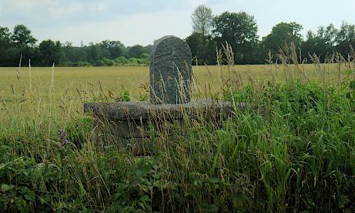 Foto: Stefan Svenaeus 2021