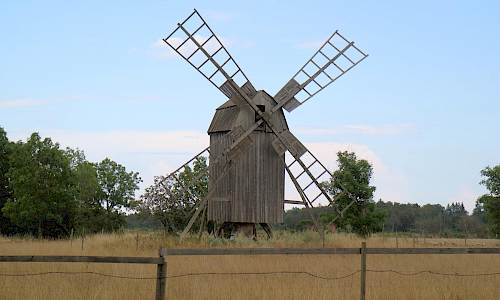 Foto: Stefan Svenaeus 2021