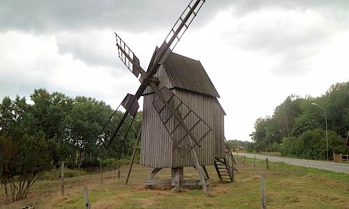 Foto: Stefan Svenaeus 2021