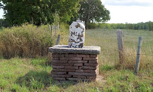 Foto: Stefan Svenaeus 2021