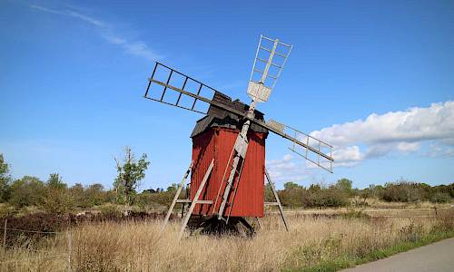 Foto: Stefan Svenaeus 2021
