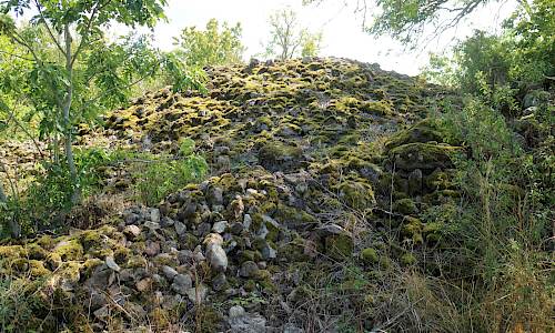 Foto: Stefan Svenaeus 2021