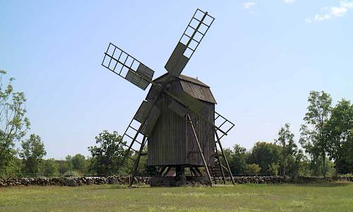 Foto: Stefan Svenaeus 2021