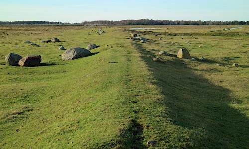 Foto: Stefan Svenaeus 2022