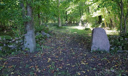 Foto: Stefan Svenaeus 2021