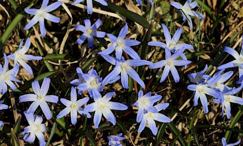 Foto: Stefan Svenaeus