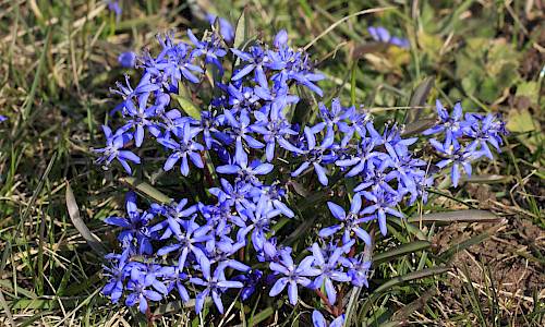 Foto: Stefan Svenaeus
