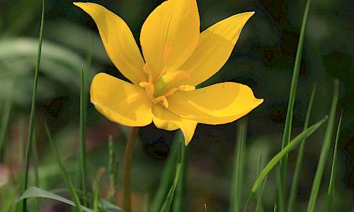 Foto: Stefan Svenaeus