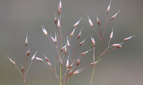 Foto: Stefan Svenaeus