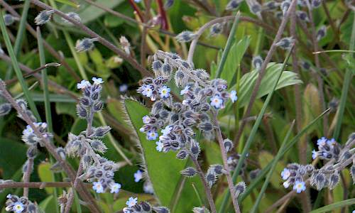 Foto: Stefan Svenaeus