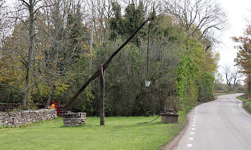 Brunnsvippa i Gillsättra Foto: Stefan Svenaeus