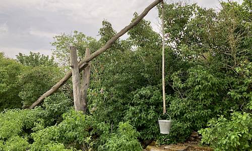 Foto: Stefan Svenaeus 2022