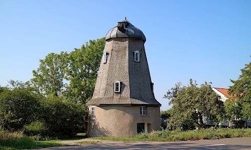 Foto: Stefan Svenaeus 2021