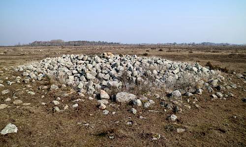 Foto: Stefan Svenaeus 2022