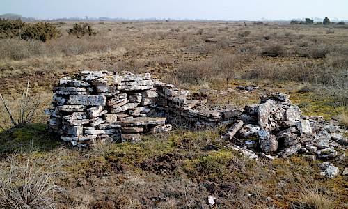 Foto: Stefan Svenaeus 2022