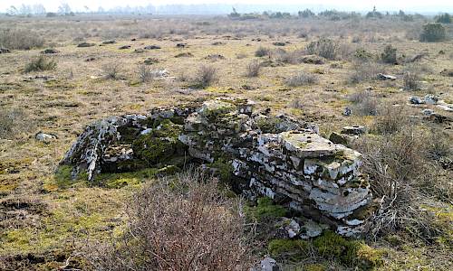 Foto: Stefan Svenaeus 2022