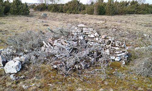Foto: Stefan Svenaeus 2022