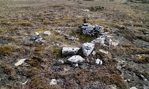 Foto: Stefan Svenaeus 2022
