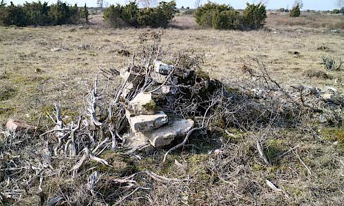Foto: Stefan Svenaeus 2022