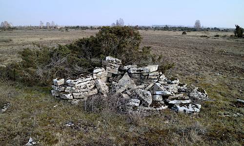 Foto: Stefan Svenaeus 2022