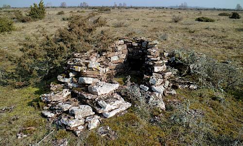 Foto: Stefan Svenaeus 2022