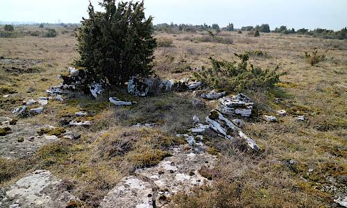 Fårvaktarkoja 10 på Nedra Segerstad alvar
