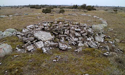 Foto: Stefan Svenaeus 2022
