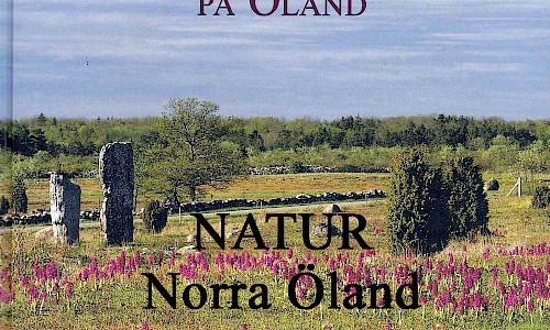 NATUR OCH KULTUR PÅ ÖLAND - Särskilt värdefulla naturmiljöer på norra Öland