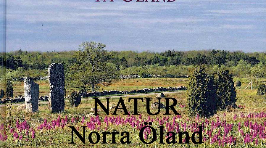 NATUR OCH KULTUR PÅ ÖLAND - Särskilt värdefulla naturmiljöer på norra Öland