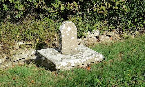 Foto: Stefan Svenaeus 2022