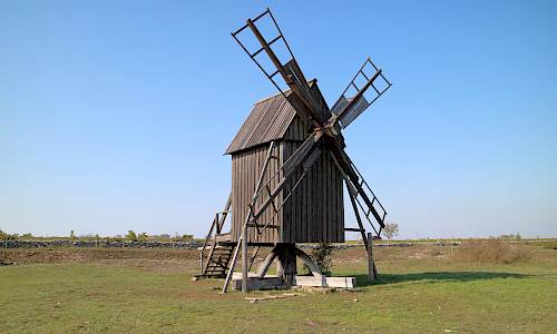 Foto: Stefan Svenaeus 2021