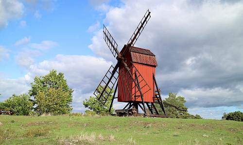Foto: Stefan Svenaeus 2022