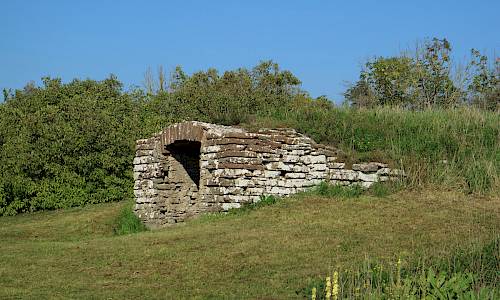 Foto: Stefan Svenaeus 2021