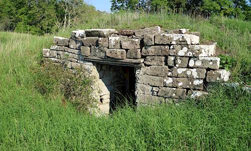 Foto: Stefan Svenaeus 2021