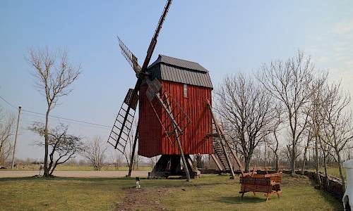 Foto: Stefan Svenaeus 2019