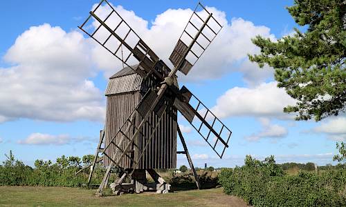 Foto: Stefan Svenaeus 2022