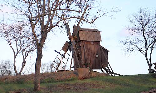 Foto: Stefan Svenaeus 2023