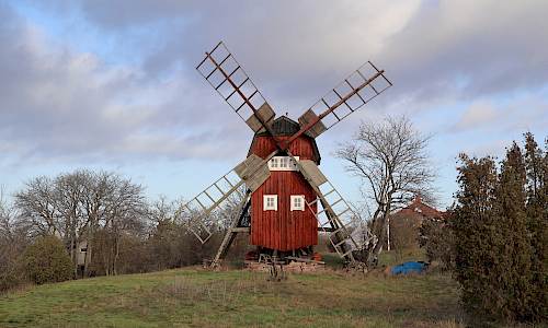 Foto: Stefan Svenaeus 2023