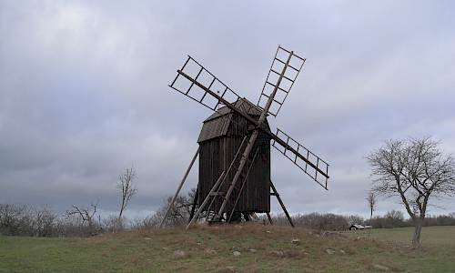 Foto: Stefan Svenaeus 2023