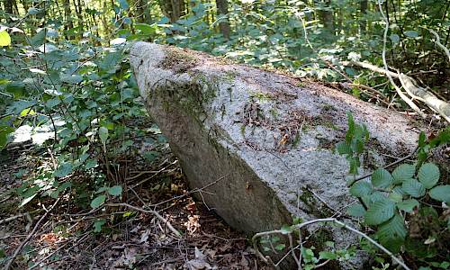 Foto: Stefan Svenaeus 2022