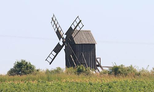 Foto: Stefan Svenaeus 2022