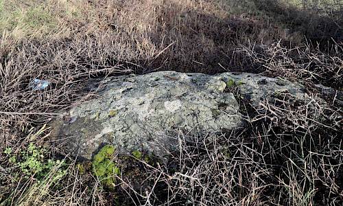 Foto: Stefan Svenaeus 2023