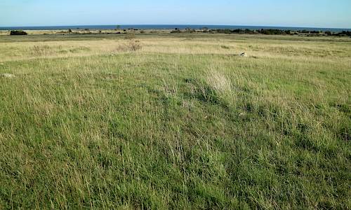 Foto: Stefan Svenaeus 2022