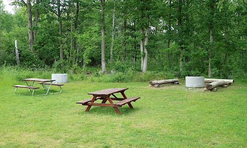 Foto: Stefan Svenaeus 2023