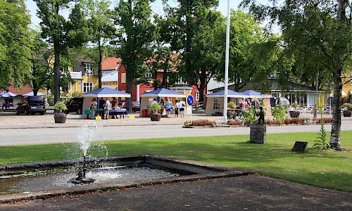Foto: Stefan Svenaeus 2013