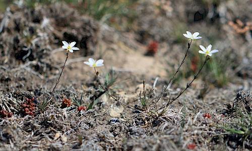 Foto: Stefan Svenaeus